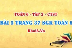 Bài 5 trang 37 SGK Toán 6 Tập 2 Chân trời sáng tạo